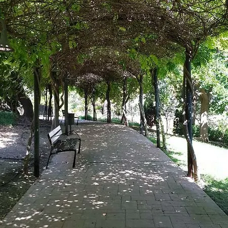 Albaida *