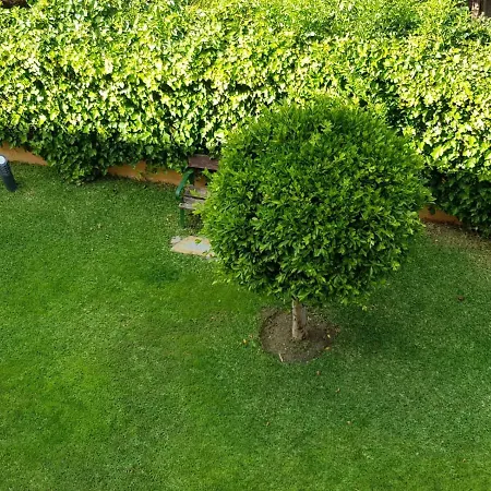 Appartamento Albaida